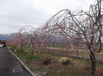画像 044.jpg